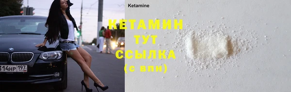 гидра Аркадак