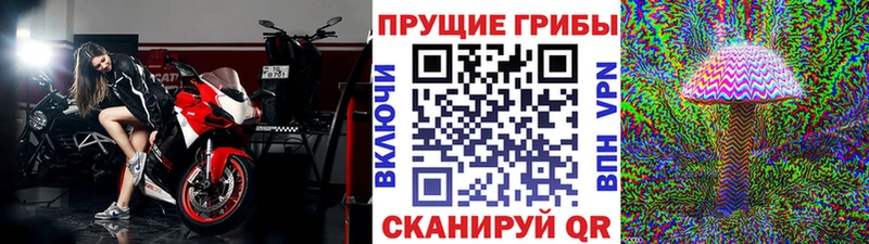 Купить где  Сатка  Псилоцибиновые грибы Magic Shrooms 